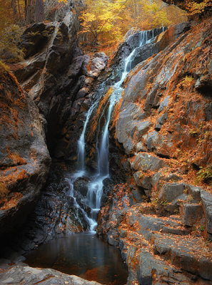 Campbell Falls