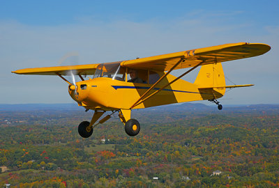 Vagabond_5309.jpg