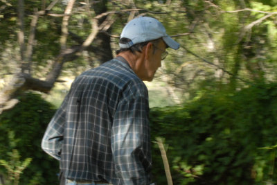 813Bobs10 116bobweb.jpg