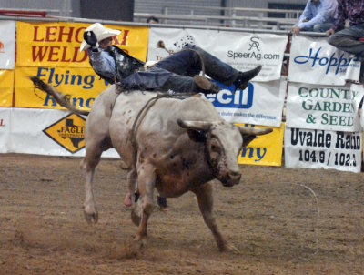 524bullriding 097bullridingweb.jpg