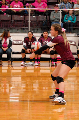 1014volleyball 328volleyweb.jpg