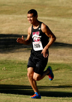 1016CXC 228nogaincxc.jpg