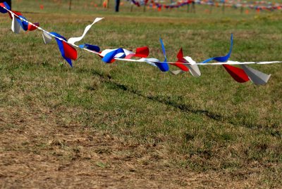 111regCXC 126cxcweb.jpg