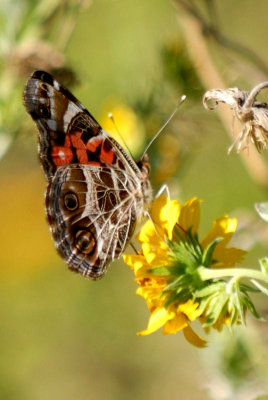 Cook's Slough Nature Park