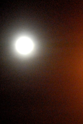 16lobosbb 263moonweb.jpg