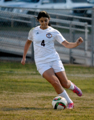 220sports 462soccerweb.jpg