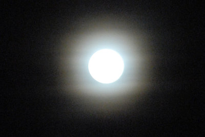 35concertUIL coldmoonweb.jpg