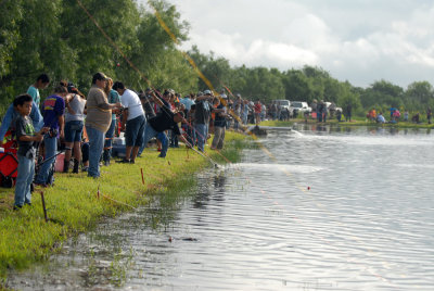 530fishhatchery 101fishweb.jpg