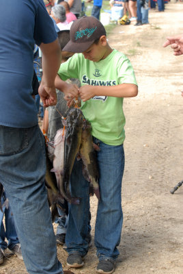 530fishhatchery 232fishweb.jpg
