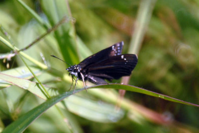 Uvalde, TX Cook's Slough Nature Park