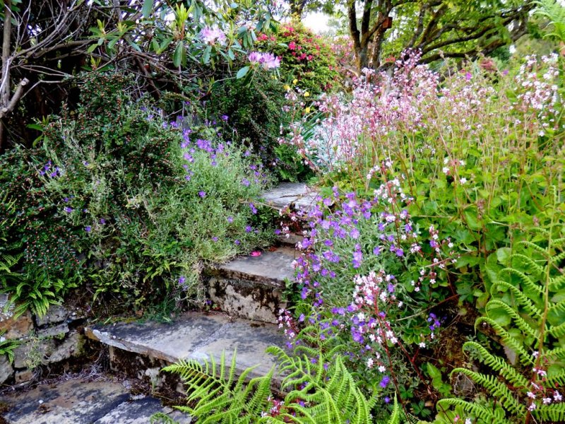 Garden Steps.jpg