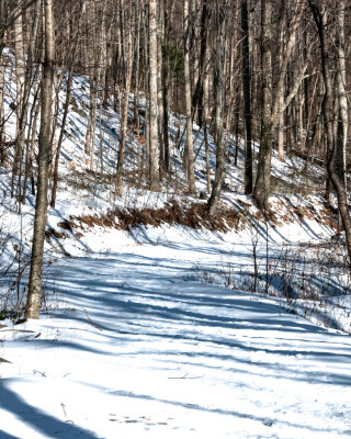 Winter Trail 1 of 1.JPG