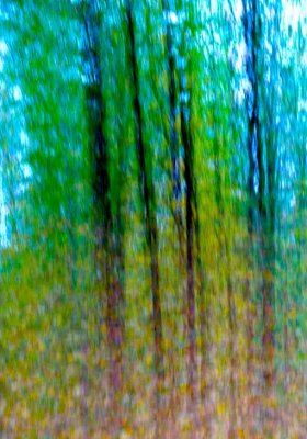 Spring Abstract.jpg
