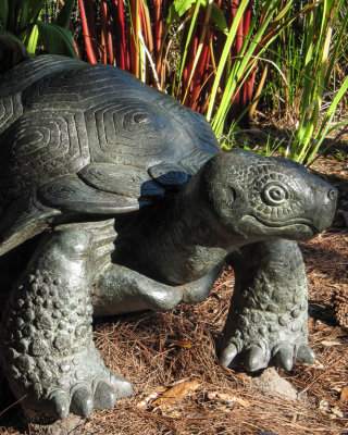 Tortoise Sculpture NOMA.jpg