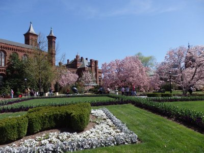 The Castle