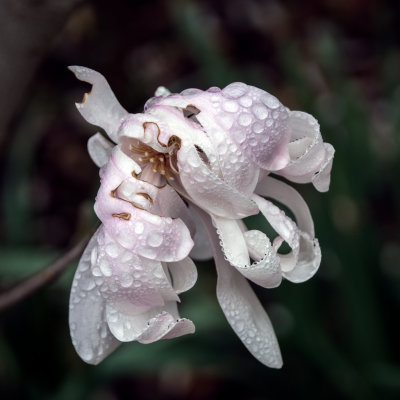 gallery_may_2015