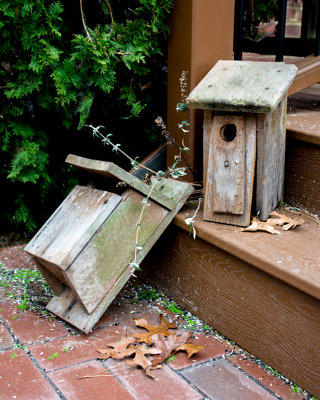 Two Bird Houses 