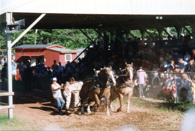 Horse Pull Heath Fair.jpg