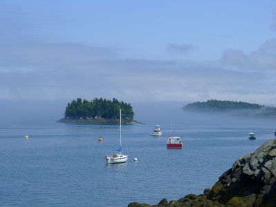 Harbor Mist .JPG
