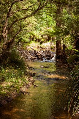 stevenson`s-falls-3.jpg