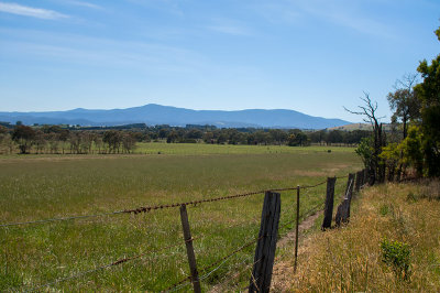 yarra-valley-1.jpg