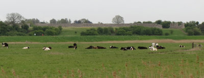 Gariannonvm  Roman Fort , Norfolk