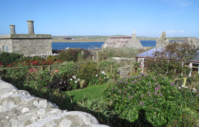 walled garden, Grutness, South Mainland Shetland