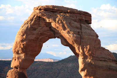 Delicate arch detail