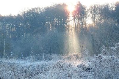 Whitlingham in the frost