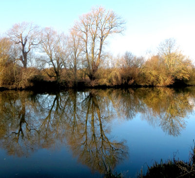 Whitlingham reflections