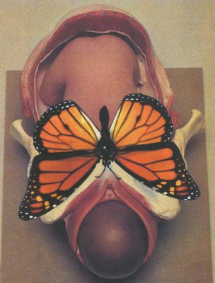 Butterfly Fetus Is Born