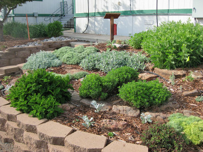 Artemisia Garden East (0501L)