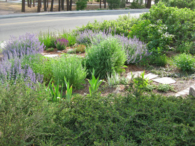 Industrial Strength Garden Area (0503L)