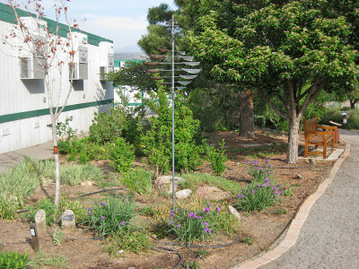 Shade Garden East Extension Area (0504L)