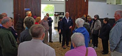 inside stallion unit
