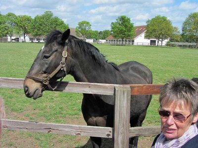 amberleigh house, grand national winner 2004