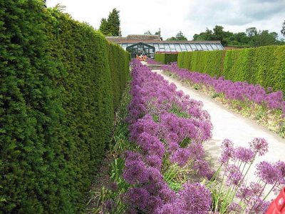 inside walled garden