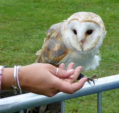 XPA rendezvous at Bedfordshire Steam Fair Sept 2016