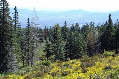 Sandia Mountains, NM