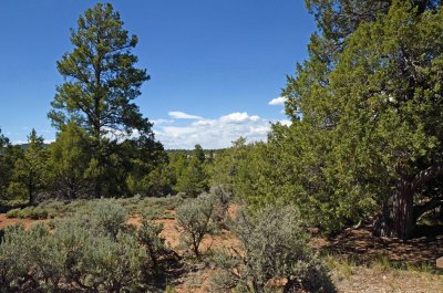 Heron Lake, NM