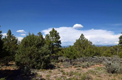 Heron Lake, NM