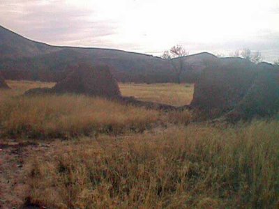 Fort Selden, NM