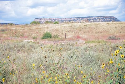 Colfax, New Mexico