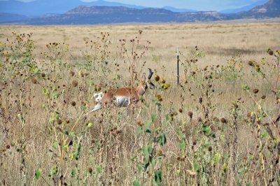Maxwell National Wildlife Refuge
