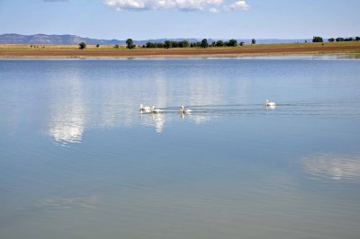 Maxwell National Wildlife Refuge
