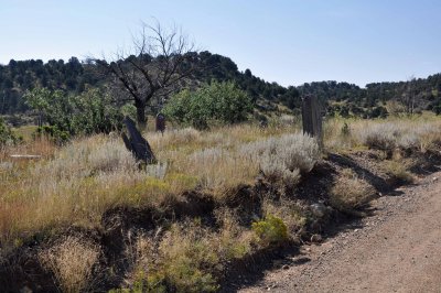Cimarron, NM
