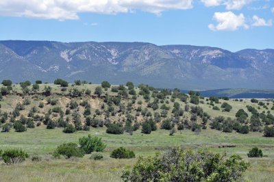 Lincoln National Forest