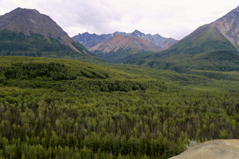 Glenn-High-way-2014.gif