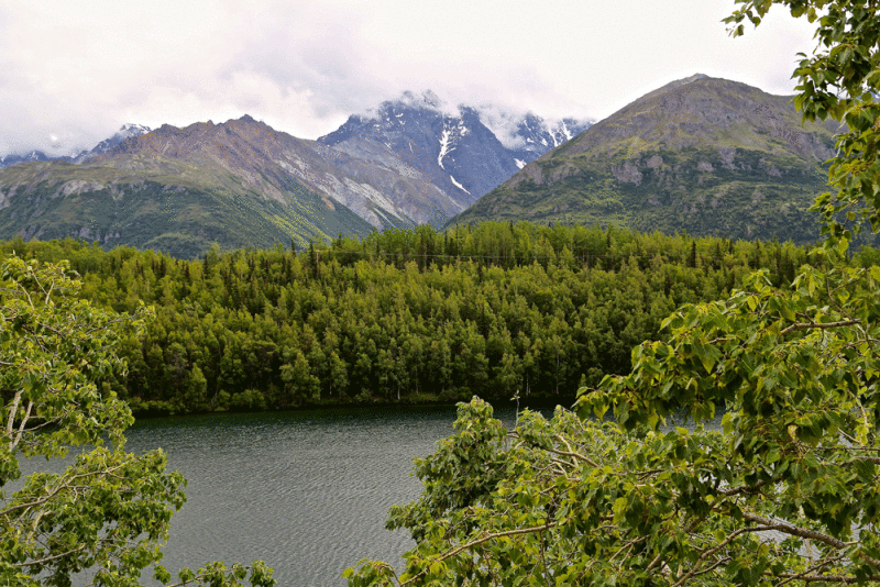 Glenn-High-Way-to-Glennallen-2014.gif
