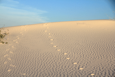 white-sand-nm-3.gif